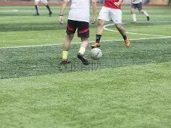 东京夏季奥,运会定于,日盛大启幕,熊猫体育平台,熊猫体育官方网站,熊猫体育登录入口,熊猫体育app下载