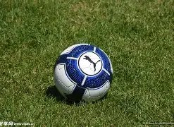 年度明星收,入榜前十揭,熊猫体育,熊猫体育平台,熊猫体育官方网站,熊猫体育登录入口,熊猫体育app下载