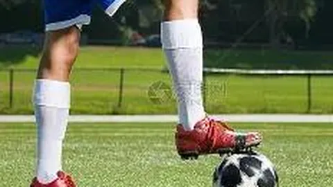 熊猫体育 产品 104535 2n7