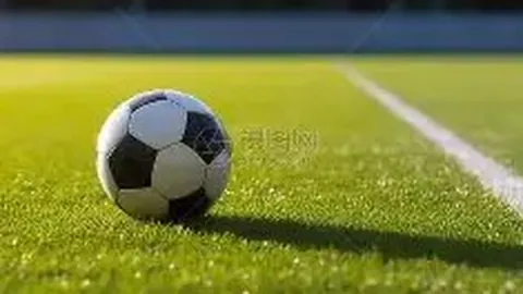 熊猫体育 资讯 124152 oa6