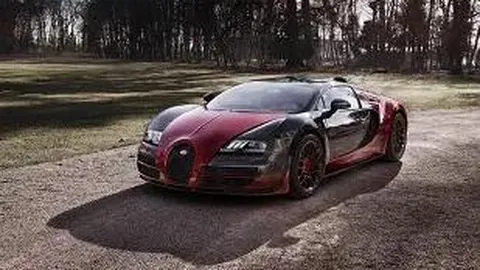 熊猫体育 资讯 125558 ibs