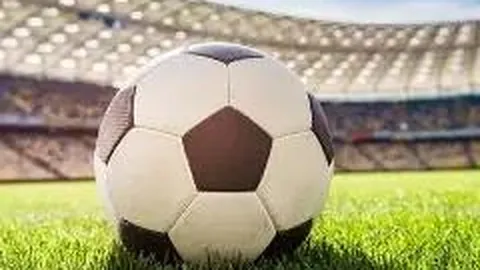 熊猫体育 资讯 124135 1p3