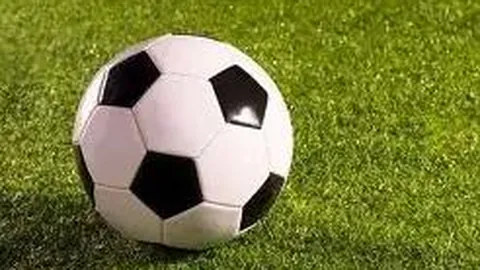 熊猫体育 资讯 124537 b9j