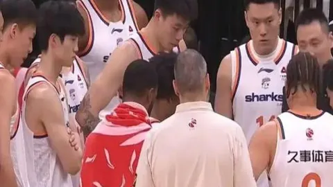 熊猫体育 产品 102537 6rs